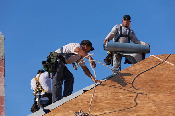 Best Residential Roofing Contractor  in Rainier, WA