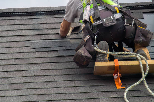 Best Metal Roofing Contractor  in Rainier, WA